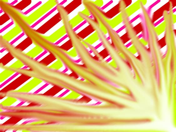 abstract