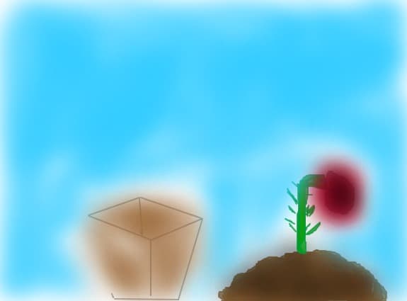 Ada-Dead plant
