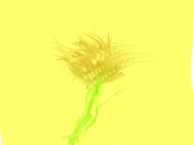 floarea