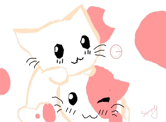 Cats
