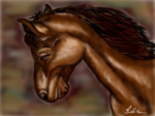 horse