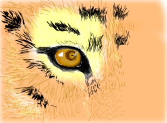 the eye of the tiger