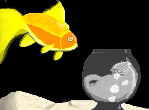 fish vs cat