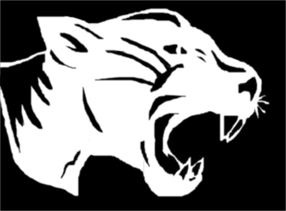 vector pantera