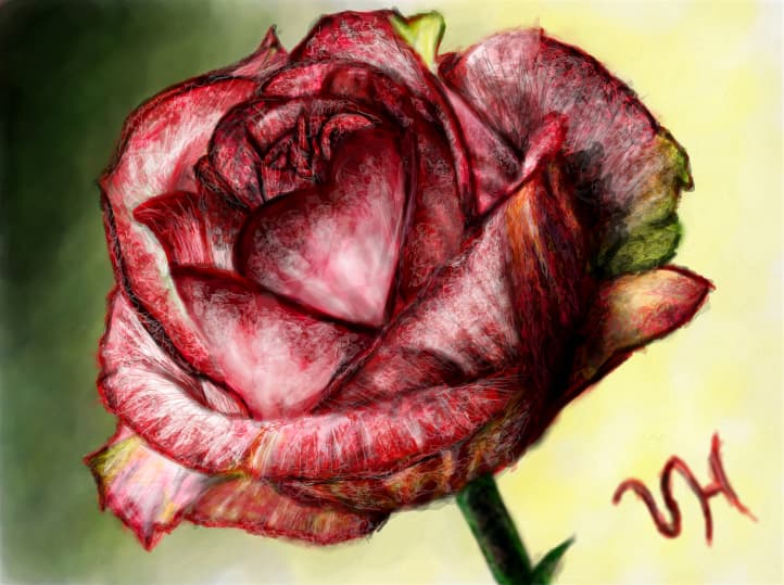 Red Rose ......
