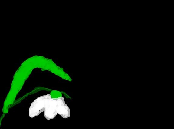 Ghiocel