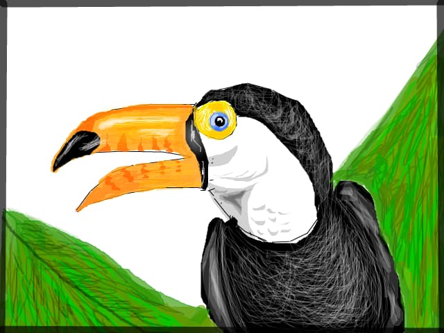 Tucan
