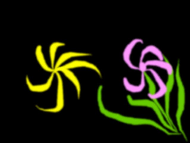 flori