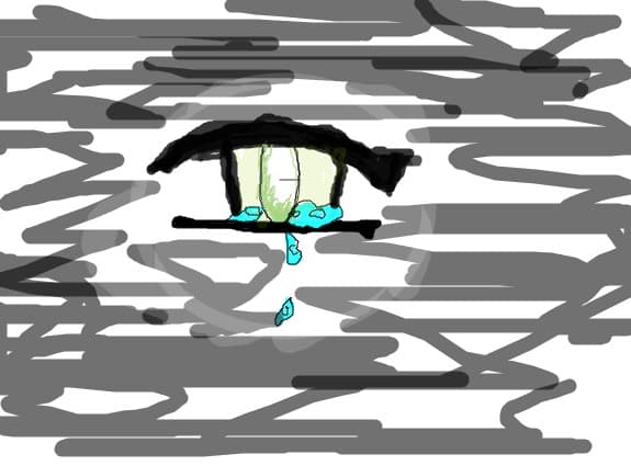 eye
