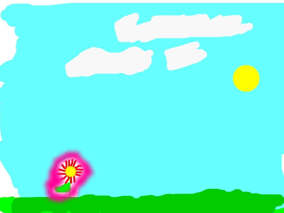 Floare magica