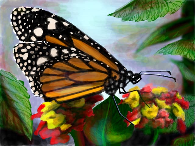 un fluturash  pt fiicamea :)), Passing..by