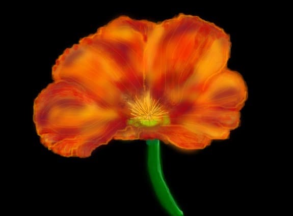 O floare ptr.tine