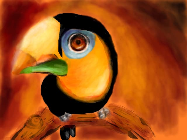 Tucan