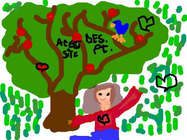 peisaj