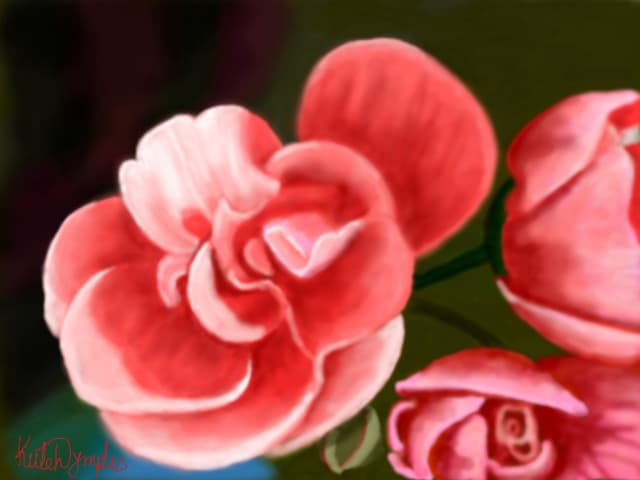 Peach Flowers