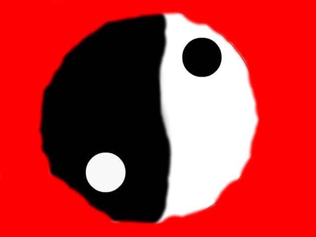 Ying-Yang