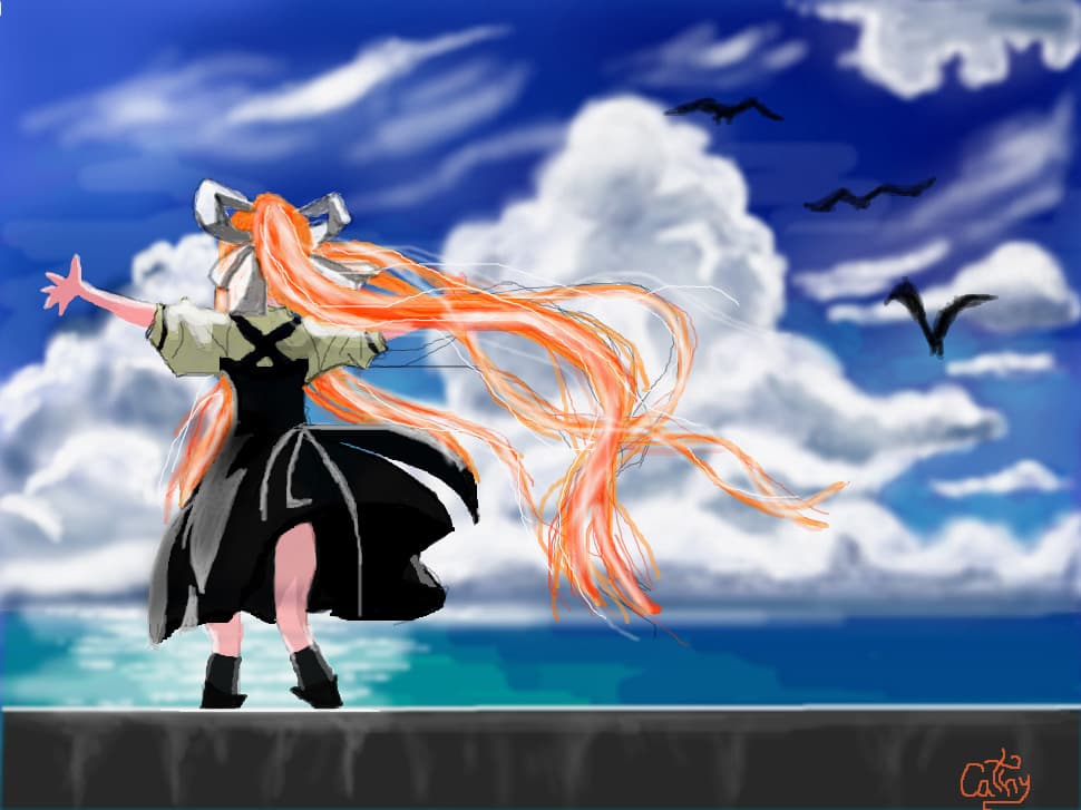 I wish i could fly....