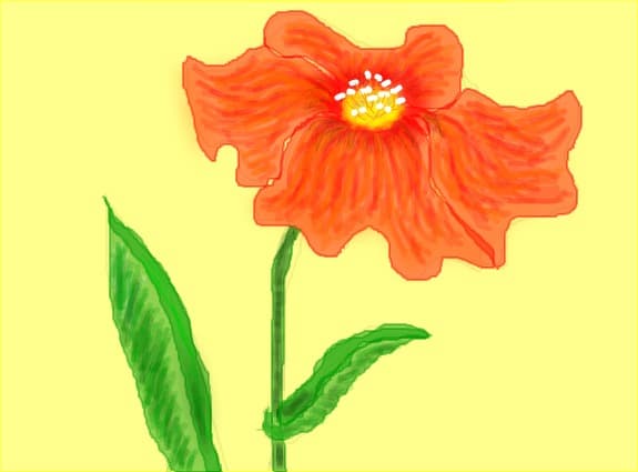 floricik,....................