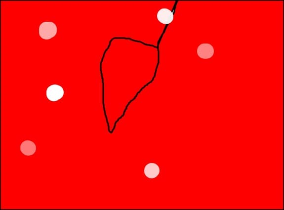 Am gasit pene de chatot