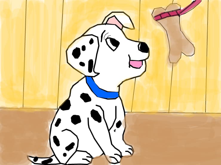 Puppy cu un os.