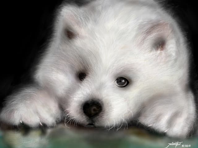 un puf cu ochi:X:X:X:X:X