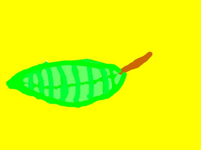 fffb
