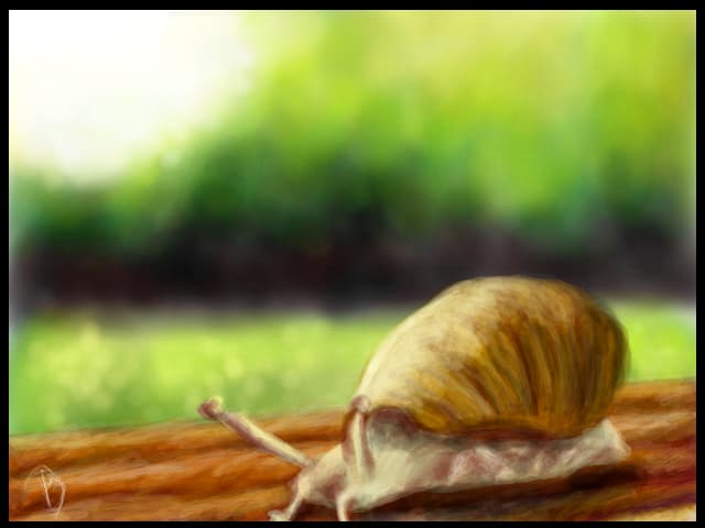 Snail...
