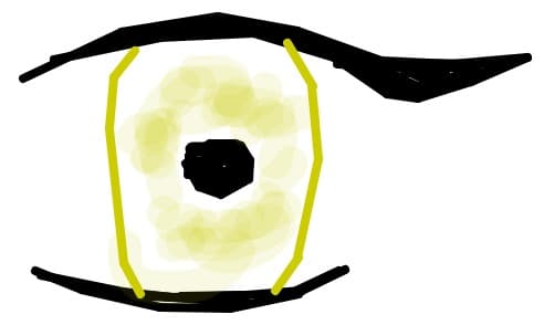 ochi de anima