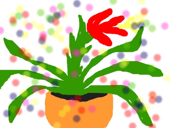 floare