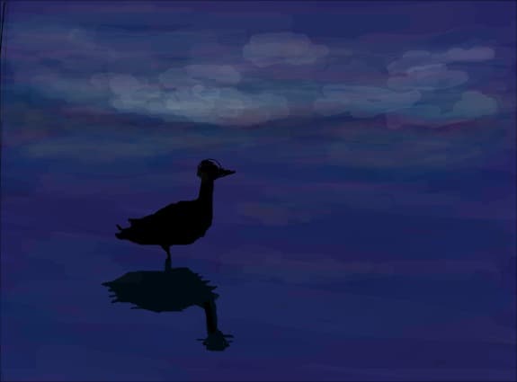 noapte pe lac