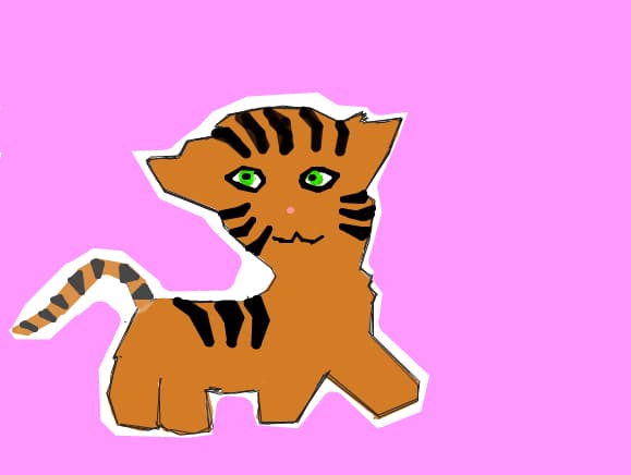 cute cat