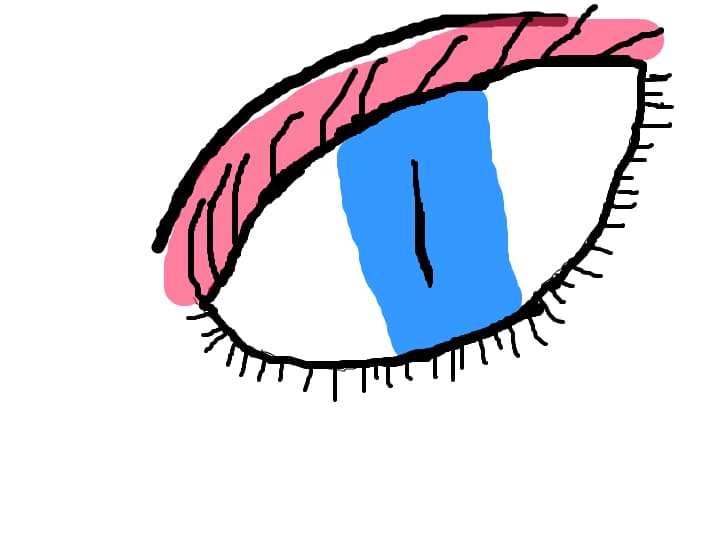 un ochI