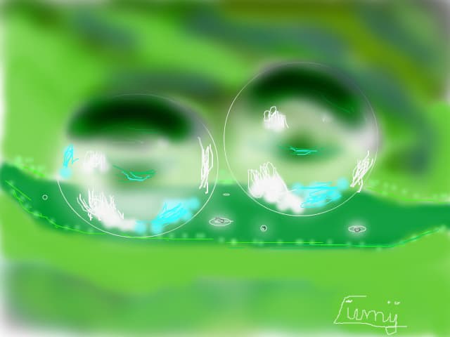 RAIN DROPS