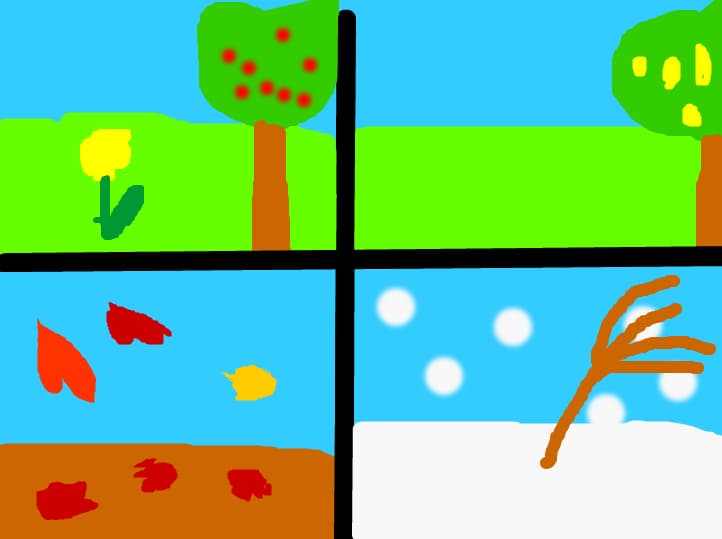 peisaje