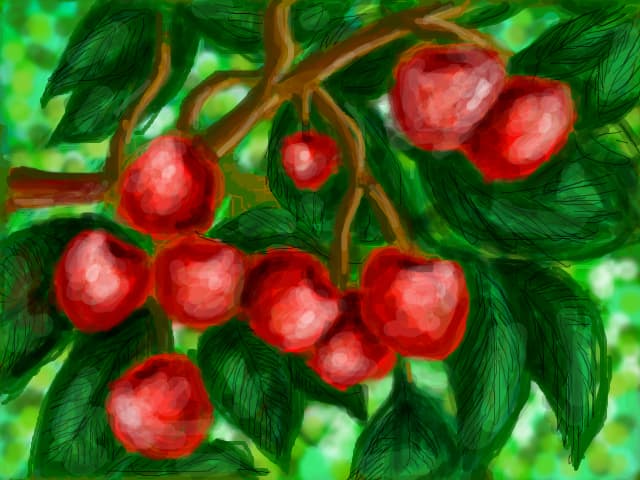 cirese