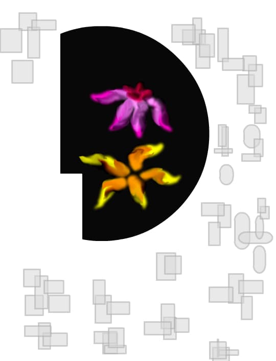nustiu