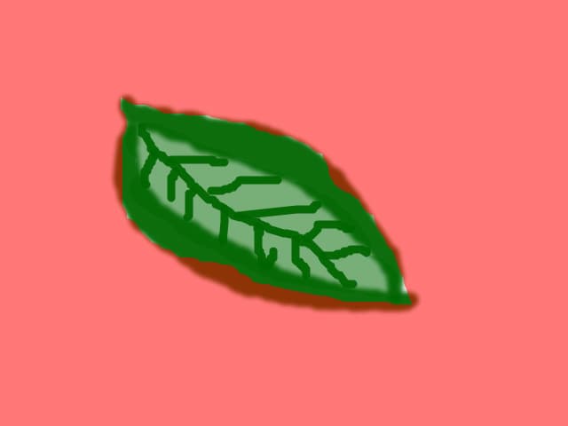 BeBe