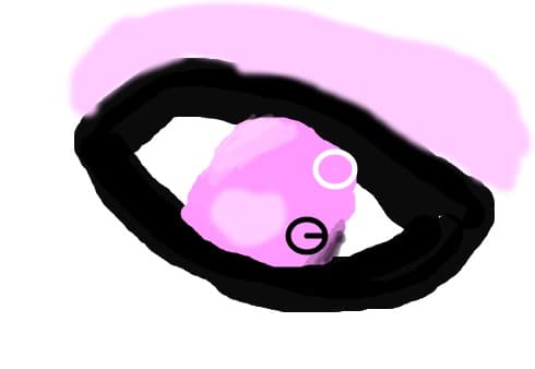 Ochi