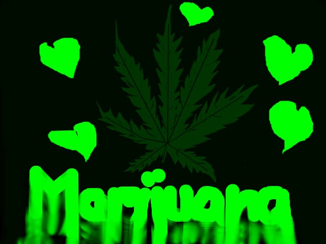 mdfdsaadsf