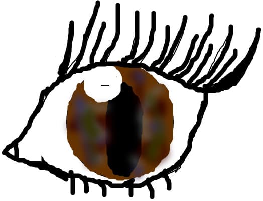 ocji
