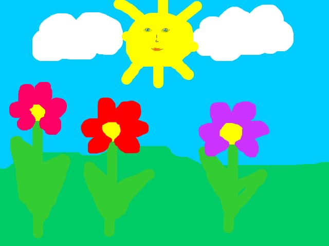 Flori
