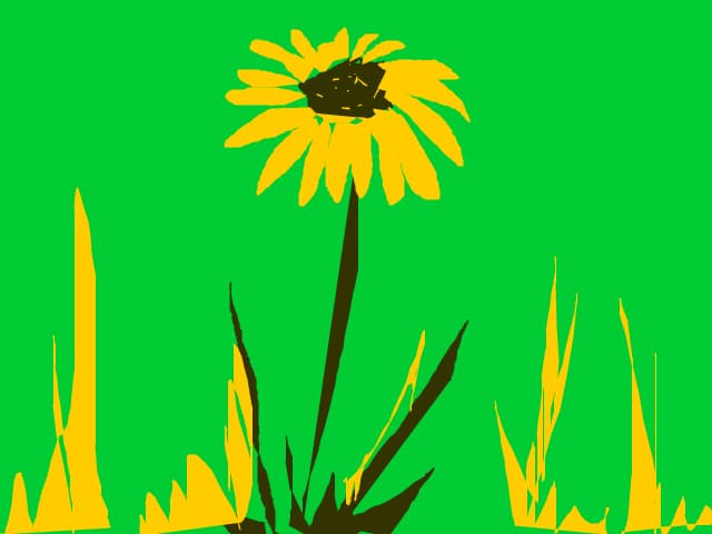 flower