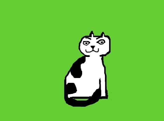 funny cat