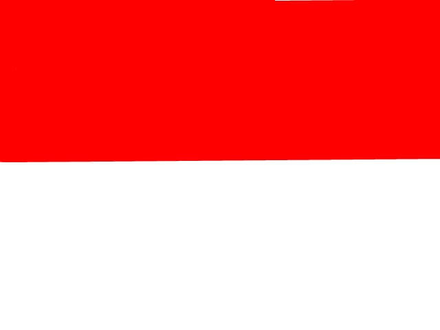 steagul indoneziei