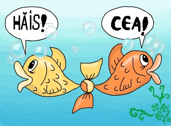 Unul hais, altul cea! :))