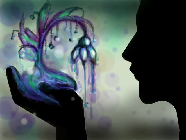 make a wish