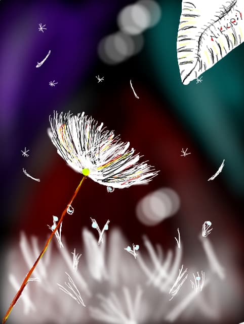 Dream..