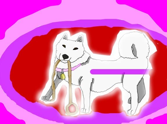 Husky