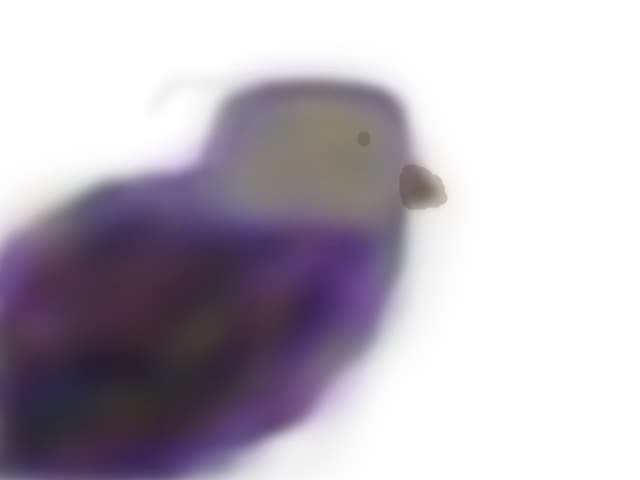 BeBe