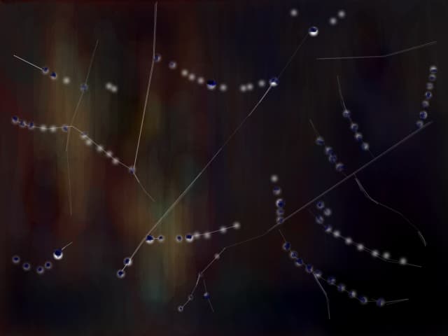 Spider web...